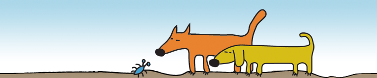 Elaine Cury's Dog Obedience